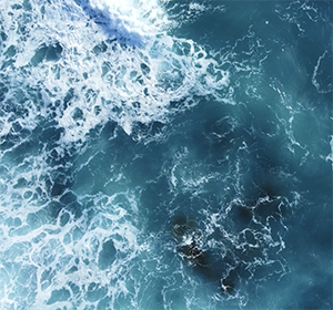 Muurverf donkergrijs nr. 787 Design Collection (5L) elegant mat